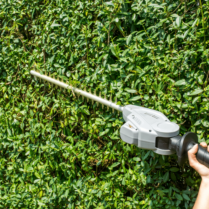 Hedge Trimming